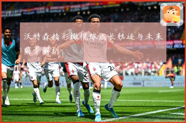 沃特森精彩橄榄球成长轨迹与未来前景解析