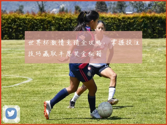 世界杯激情竞猜全攻略，掌握投注技巧赢取丰厚奖金秘籍