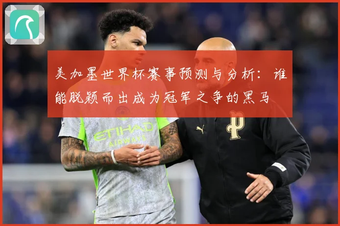 美加墨世界杯赛事预测与分析：谁能脱颖而出成为冠军之争的黑马