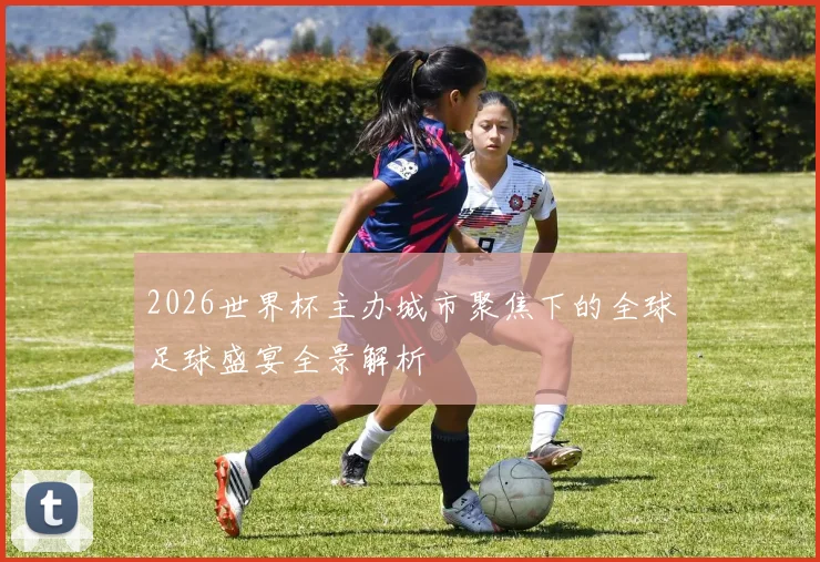 2026世界杯主办城市聚焦下的全球足球盛宴全景解析
